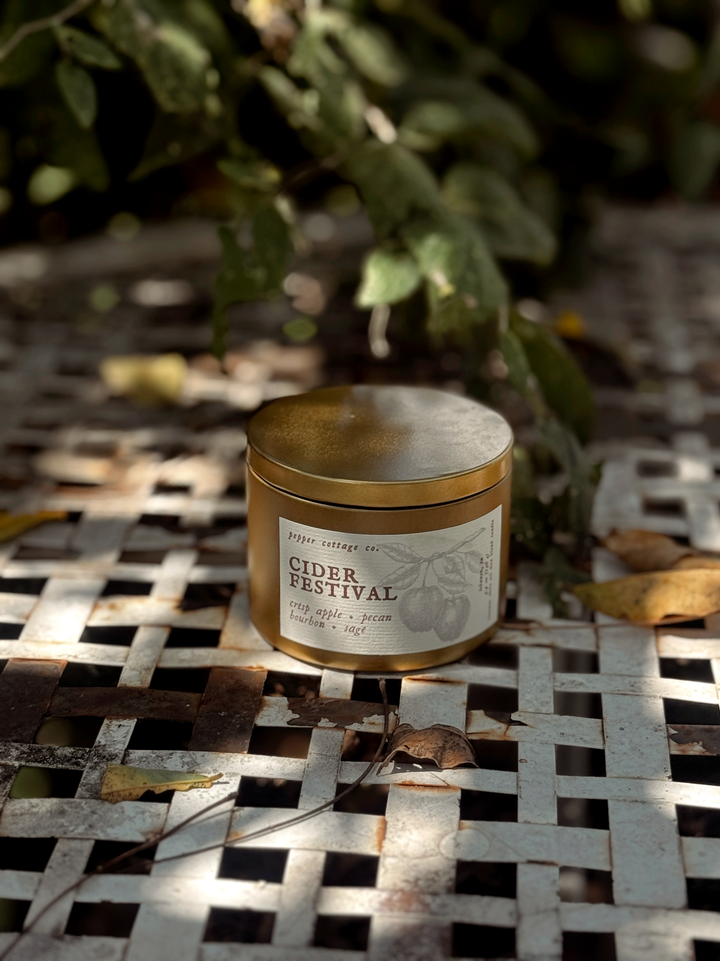 Cider Festival - Crisp Apple, Pecan, Bourbon, Sage | 5.5 oz Coconut Olive Oil Wax Fall Scented Candle