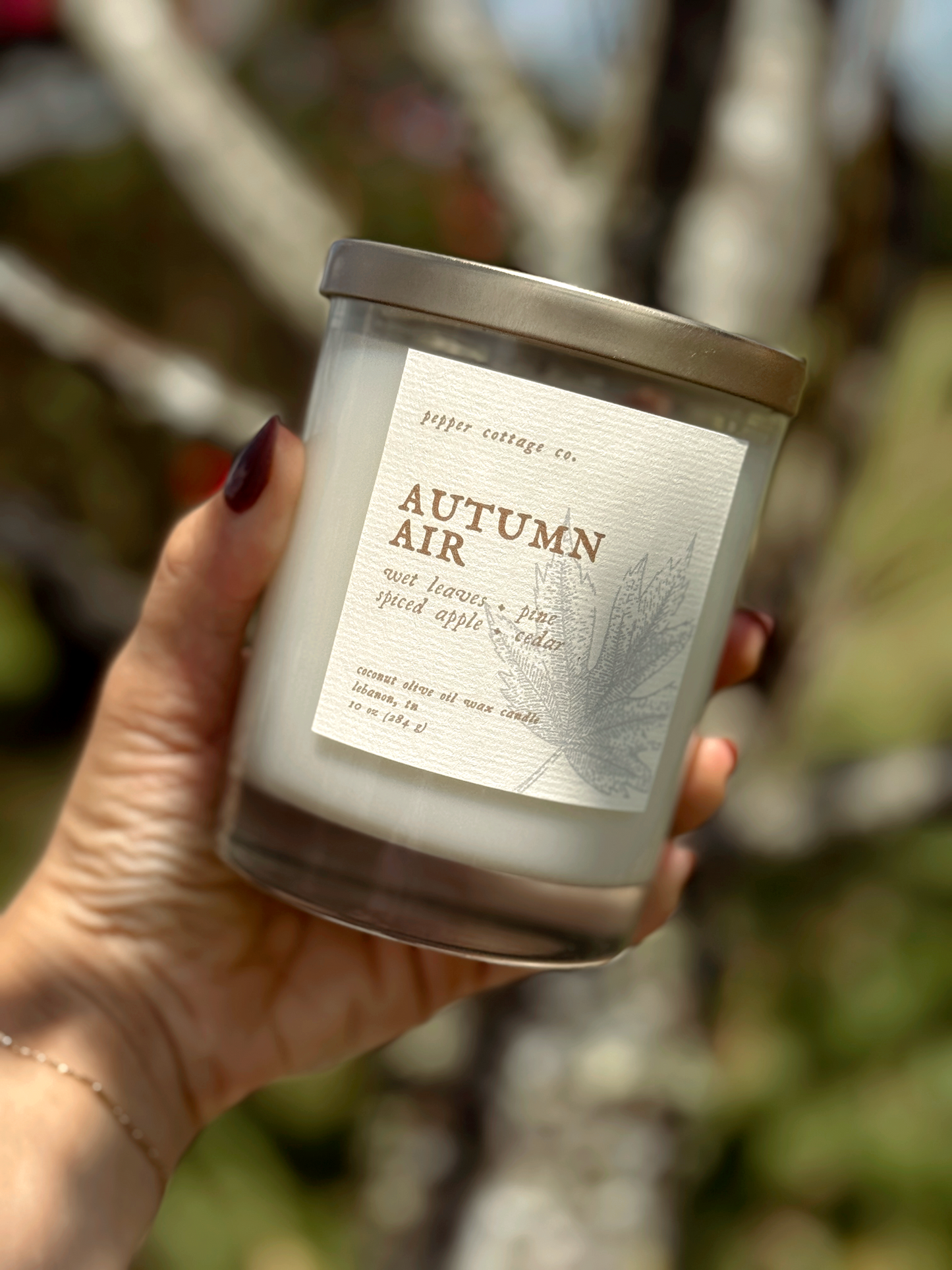 Autumn Air - Wet Leaves, Spiced Apple, Pine, Cedar | 10 oz Coconut Olive Oil Blend Fall Candle
