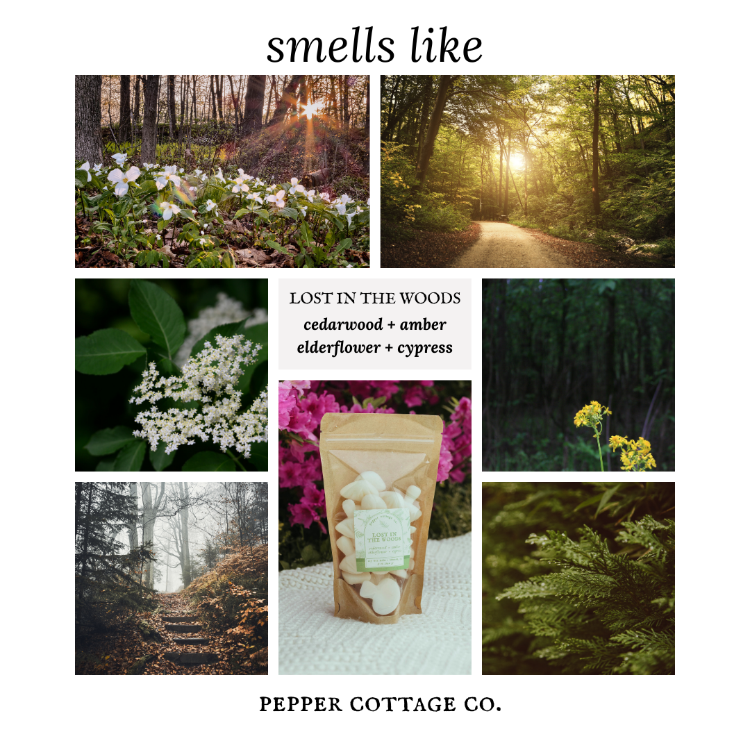 Lost in the Woods 5 oz Wax Melts - Cedarwood, Amber, Elderflower, Cypress