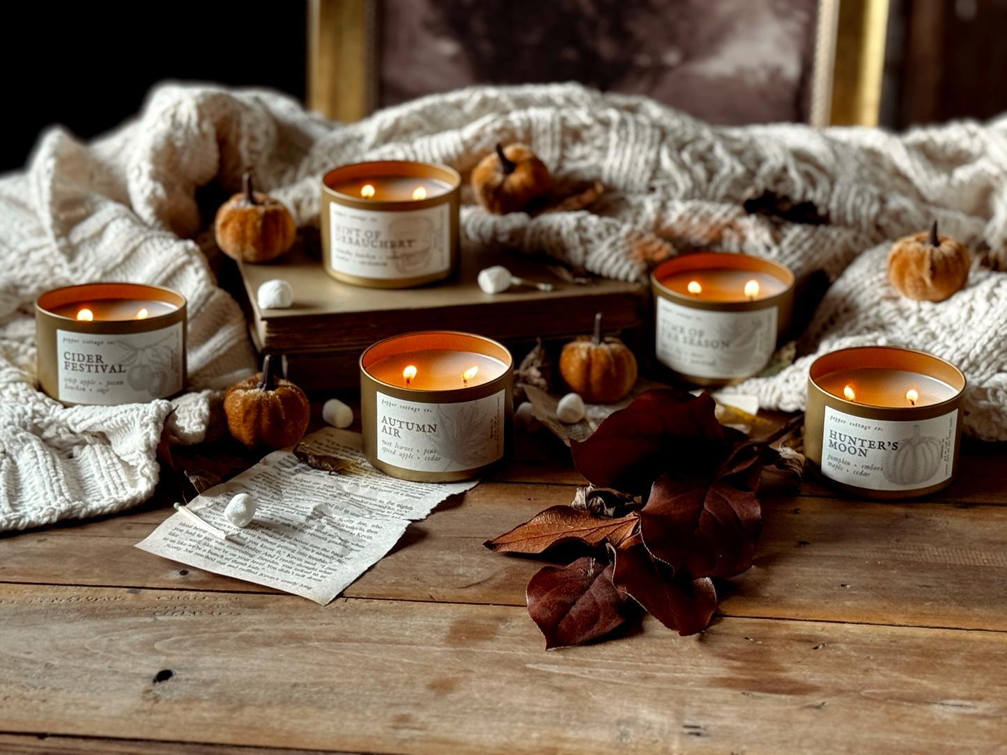 Cider Festival - Crisp Apple, Pecan, Bourbon, Sage | 5.5 oz Coconut Olive Oil Wax Fall Scented Candle