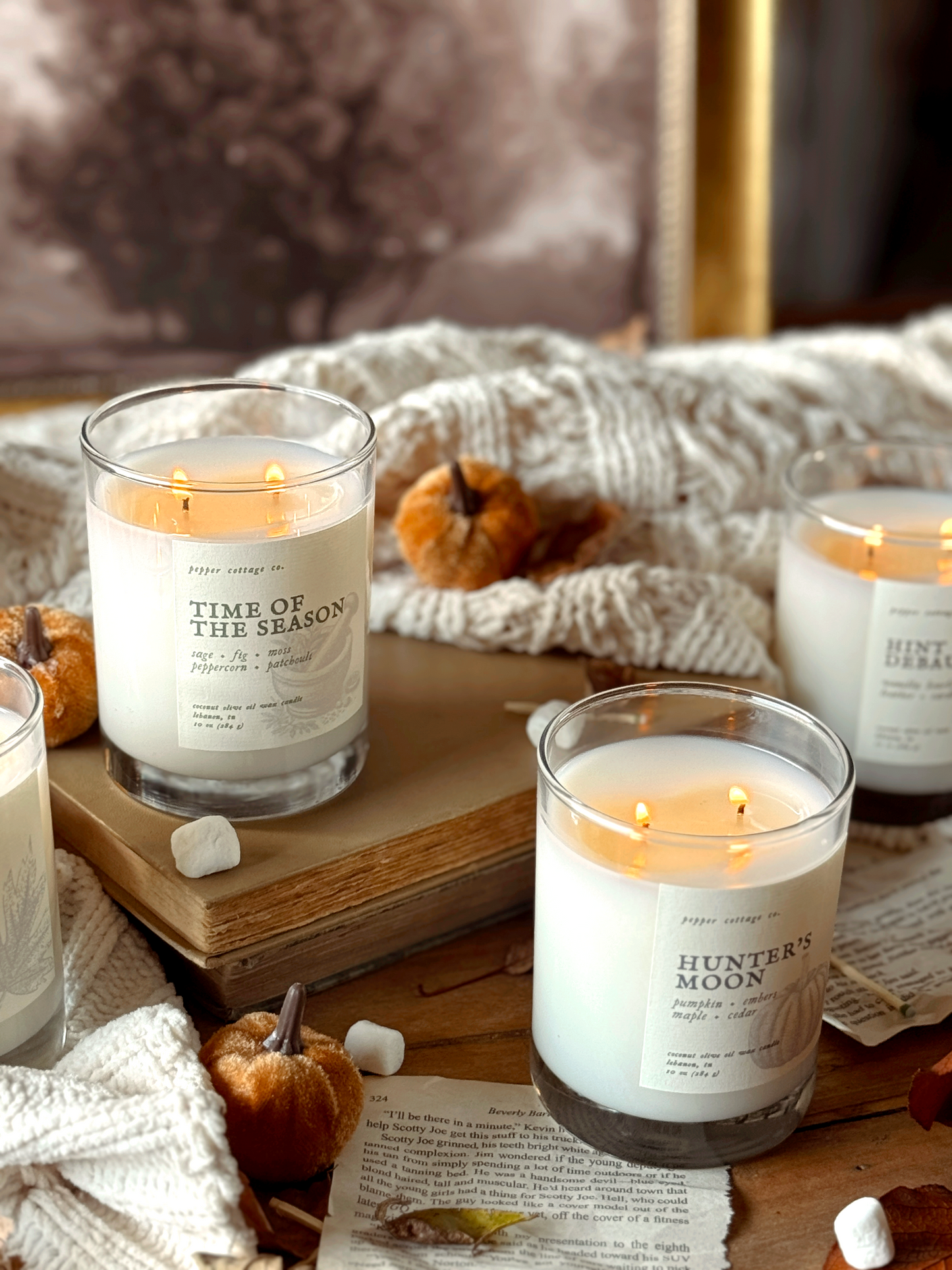 Time of the Season - Fig, Sage, Peppercorn, Moss, Brown Sugar, Patchouli | 10 oz Coconut Olive Oil Blend Fall Candle