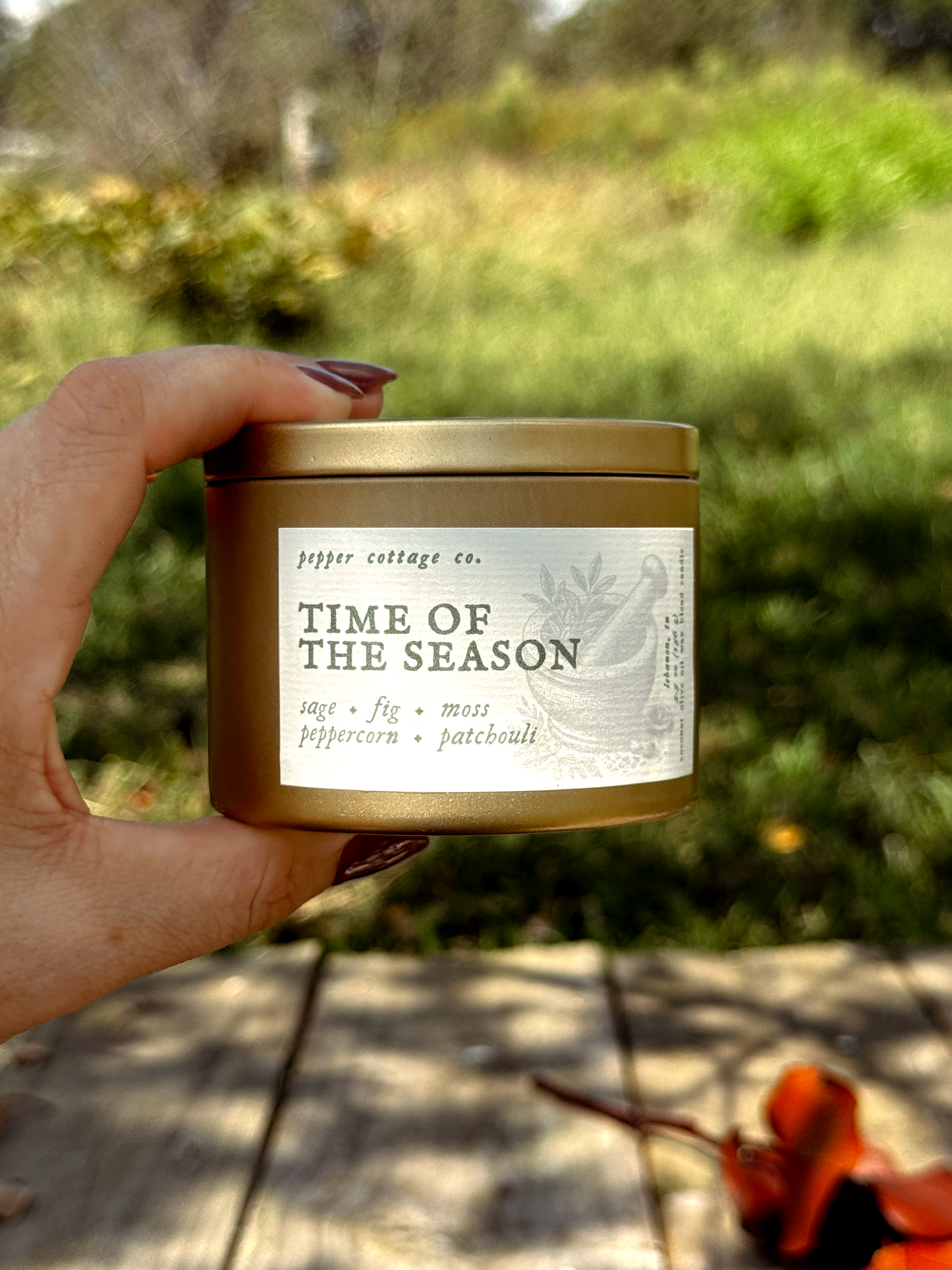 Time of the Season - Fig, Sage, Peppercorn, Moss, Brown Sugar, Patchouli | 5.5 oz Coconut Olive Oil Blend Fall Candle