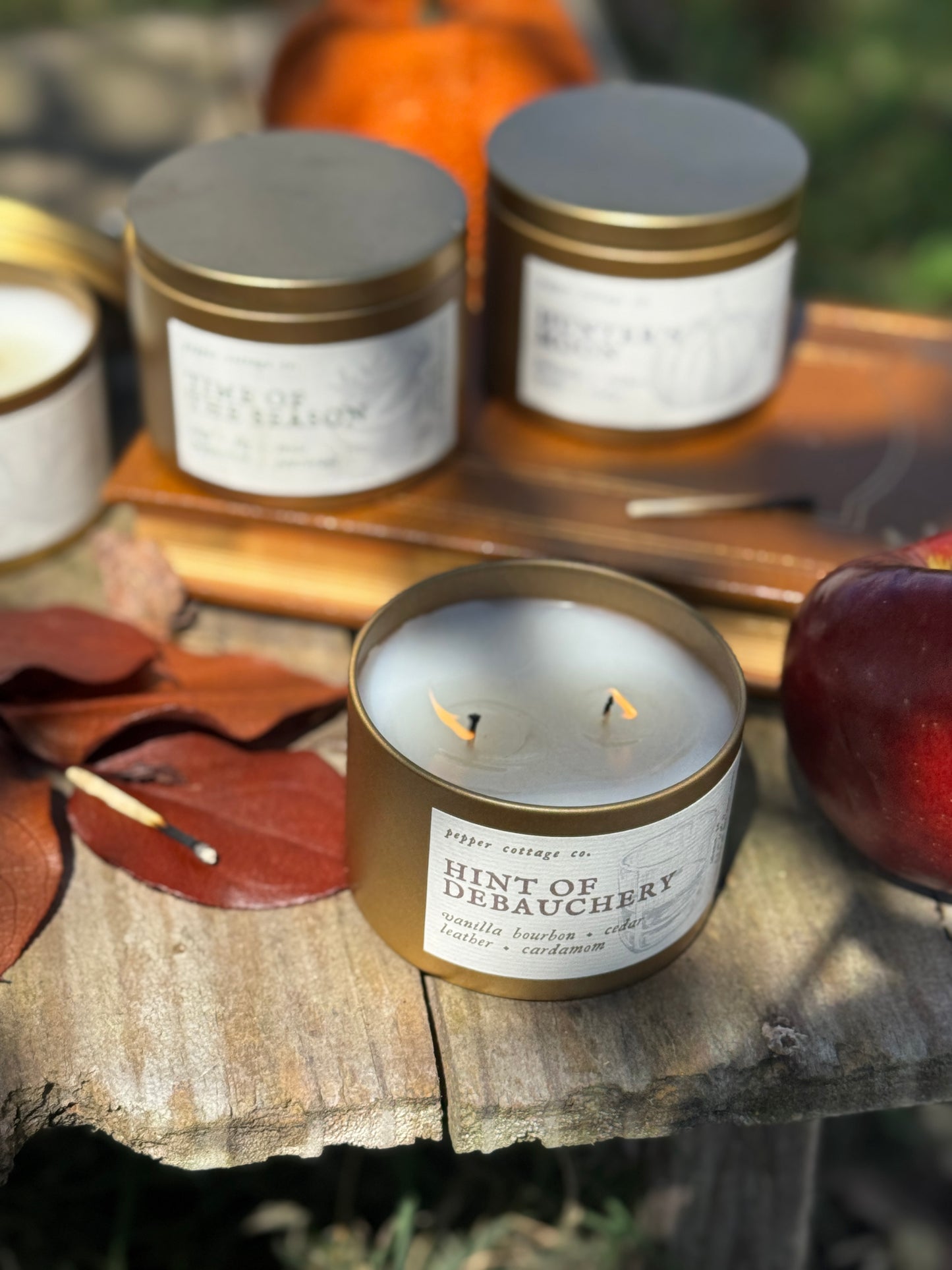 Autumn Air - Wet Leaves, Spiced Apple, Pine, Cedar | 5.5 oz Coconut Olive Oil Blend Fall Candle