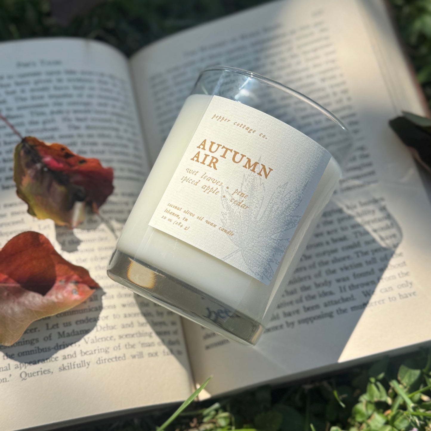 Autumn Air - Wet Leaves, Spiced Apple, Pine, Cedar | 10 oz Coconut Olive Oil Blend Fall Candle
