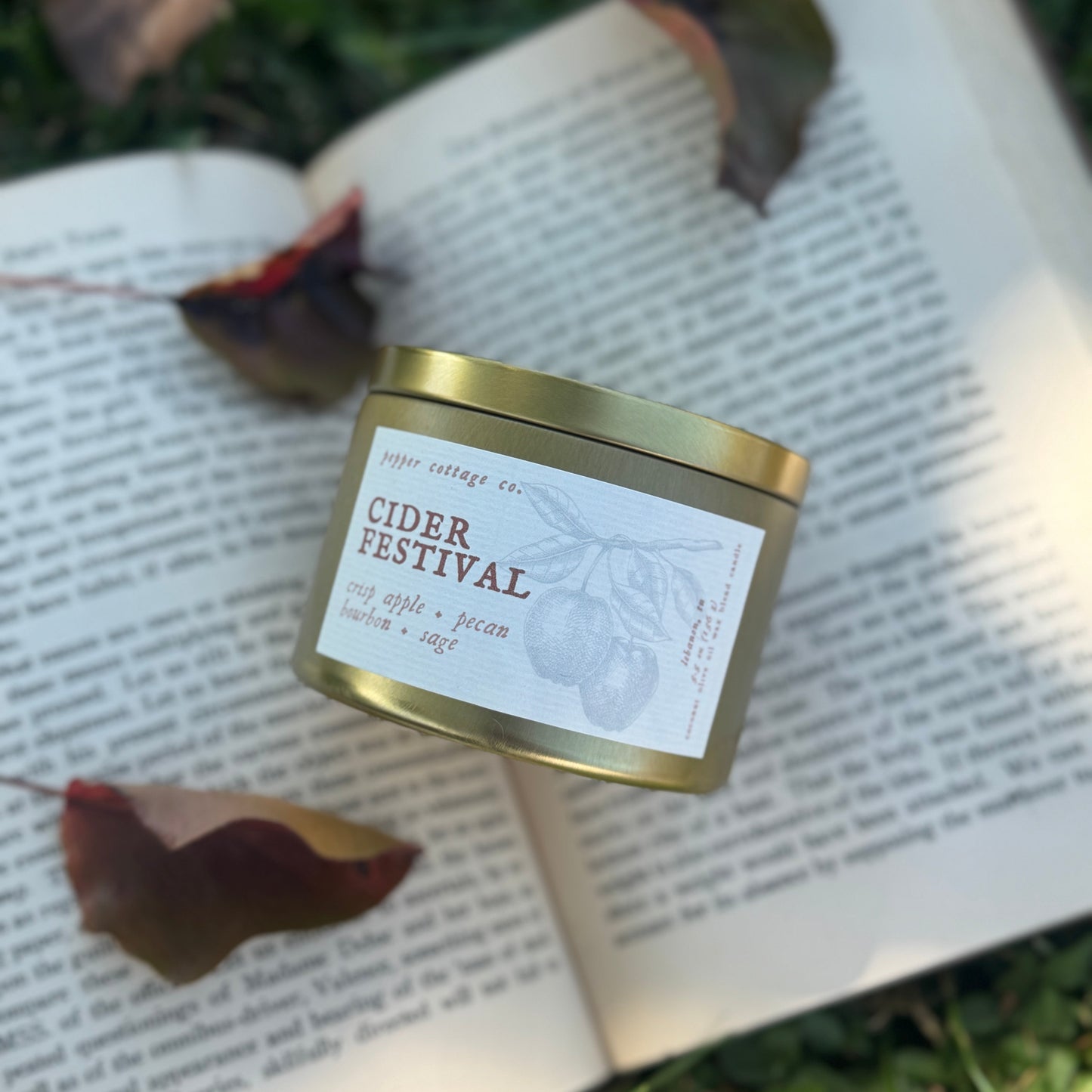 Cider Festival - Crisp Apple, Pecan, Bourbon, Sage | 5.5 oz Coconut Olive Oil Wax Fall Scented Candle