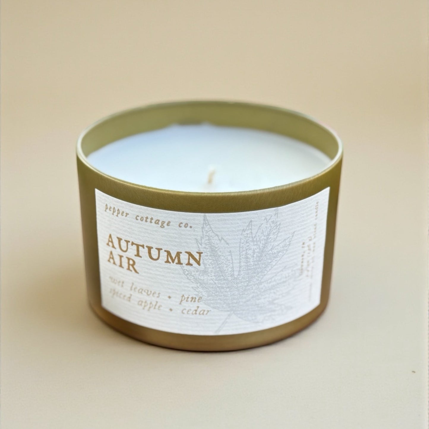 Autumn Air - Wet Leaves, Spiced Apple, Pine, Cedar | 5.5 oz Coconut Olive Oil Blend Fall Candle