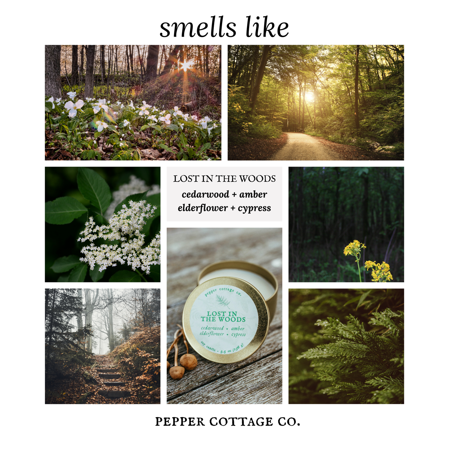 Lost in the Woods 5.5 oz Tin - Cedarwood, Amber, Elderflower, Cypress