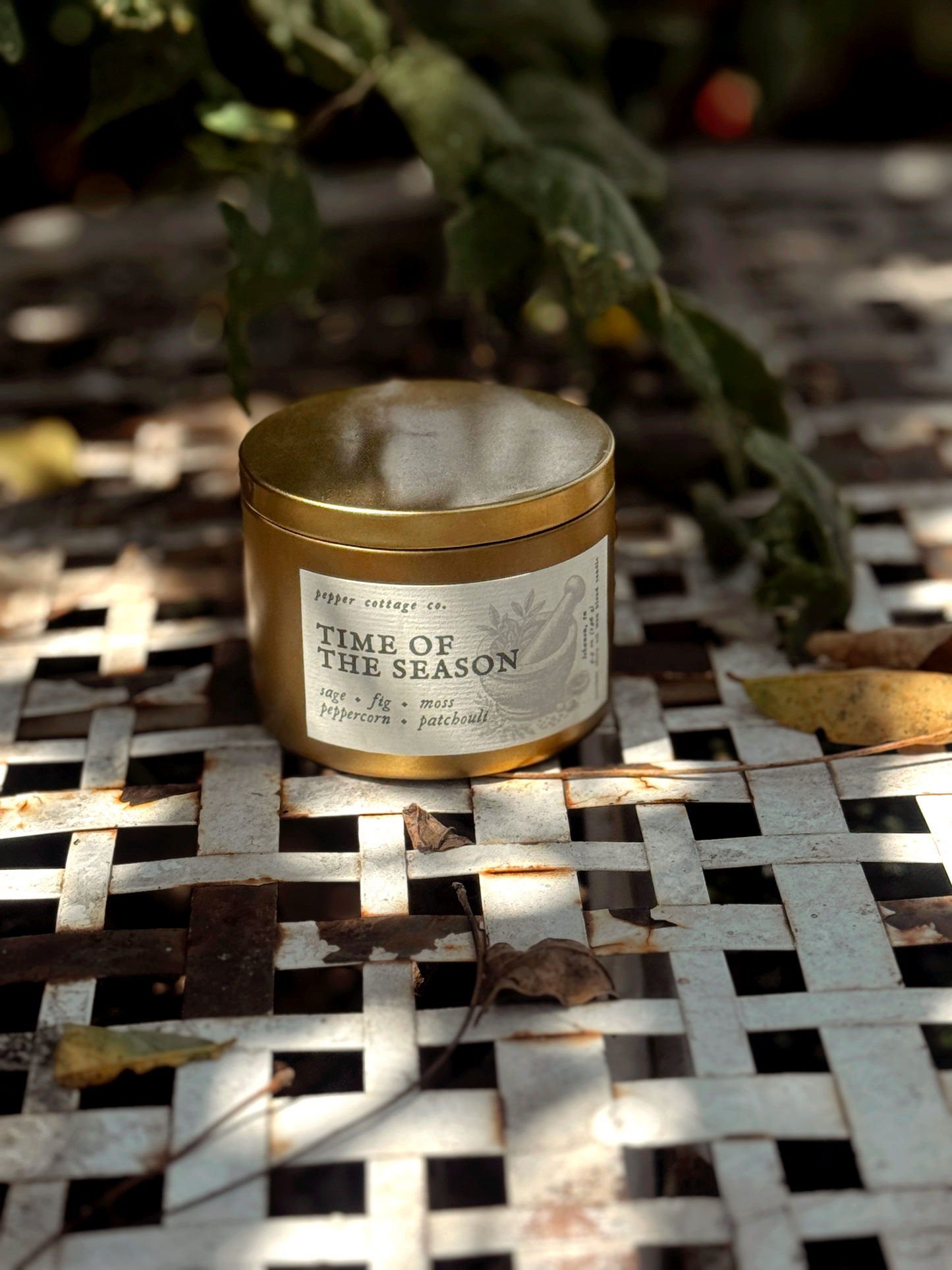 Time of the Season - Fig, Sage, Peppercorn, Moss, Brown Sugar, Patchouli | 5.5 oz Coconut Olive Oil Blend Fall Candle