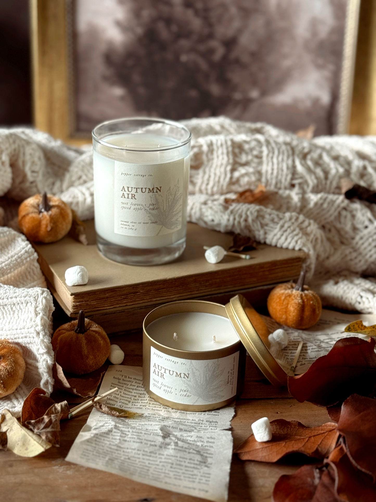 Autumn Air - Wet Leaves, Spiced Apple, Pine, Cedar | 10 oz Coconut Olive Oil Blend Fall Candle