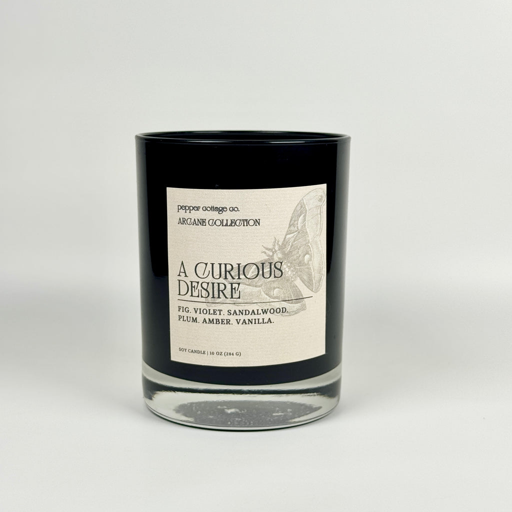 A Curious Desire 10 oz Candle Jar | Fig, Violet, Plum, Sandalwood, Plum, Amber, Vanilla | Dark Academia Soy Candle