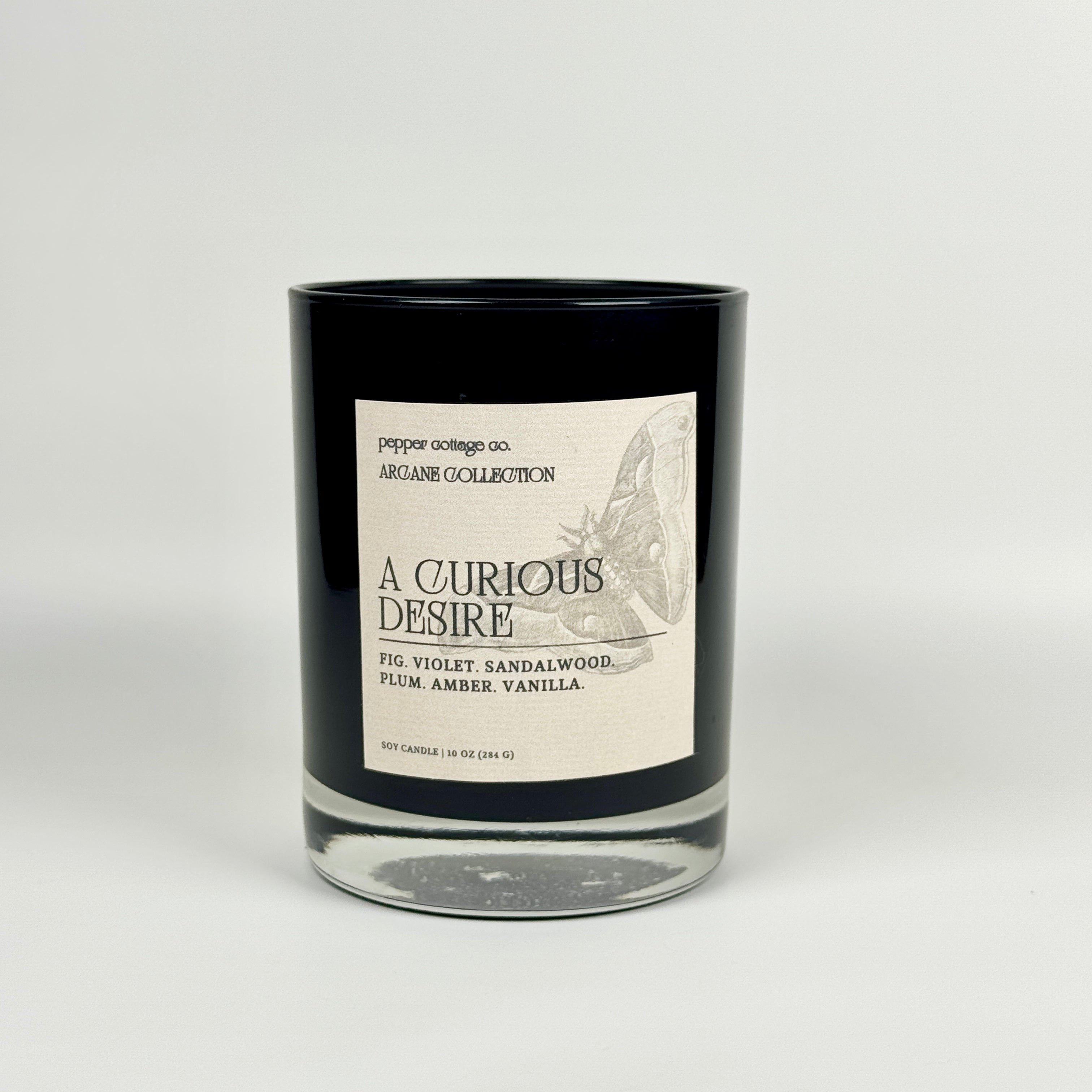 A Curious Desire 10 oz Candle Jar | Fig, Violet, Plum, Sandalwood, Plum, Amber, Vanilla | Dark Academia Soy Candle