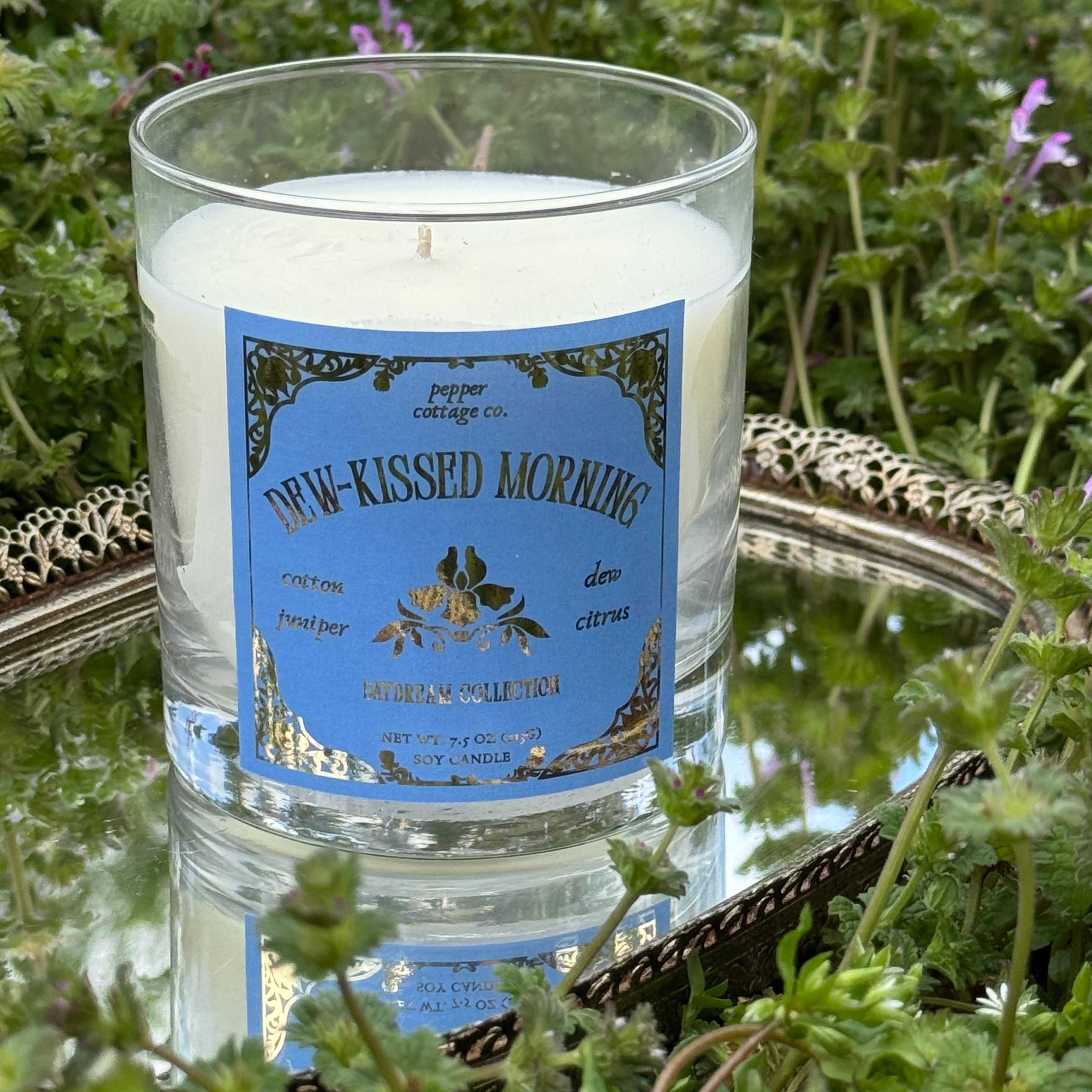 Dew-Kissed Morning 7.5 oz Soy Spring Candle | Cotton, Juniper, Dew, Citrus | Daydream Collection Spring Morning Dew Candle