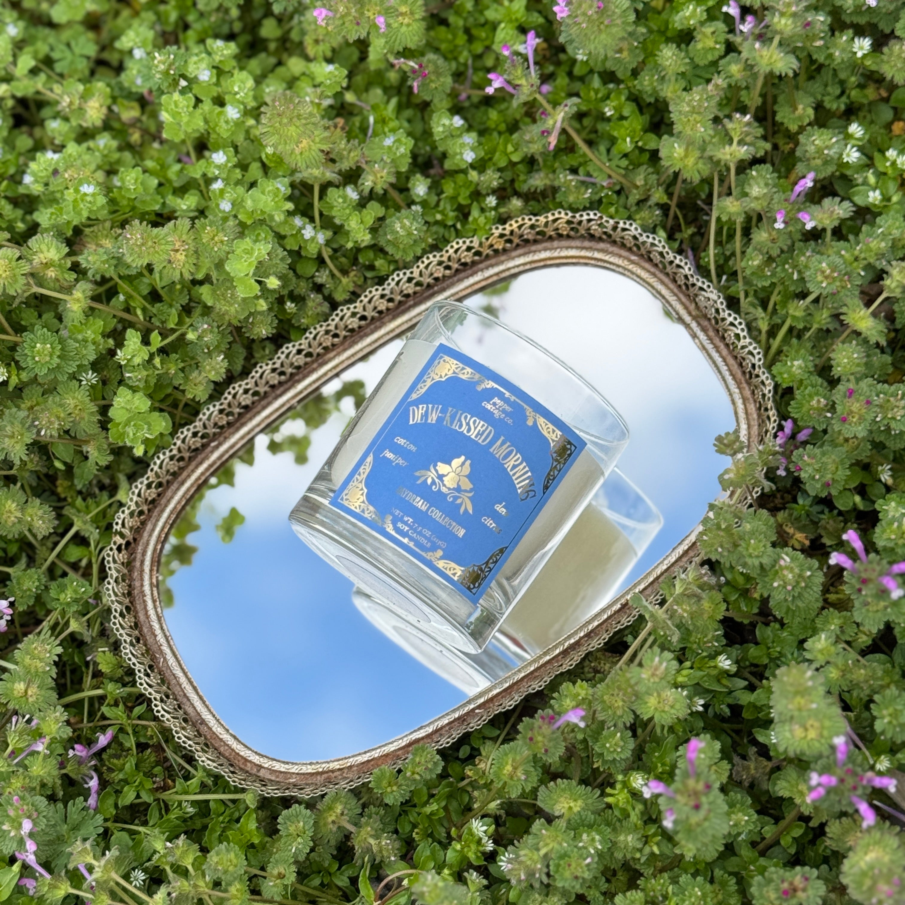 Dew-Kissed Morning 7.5 oz Soy Spring Candle | Cotton, Juniper, Dew, Citrus | Daydream Collection Spring Morning Dew Candle