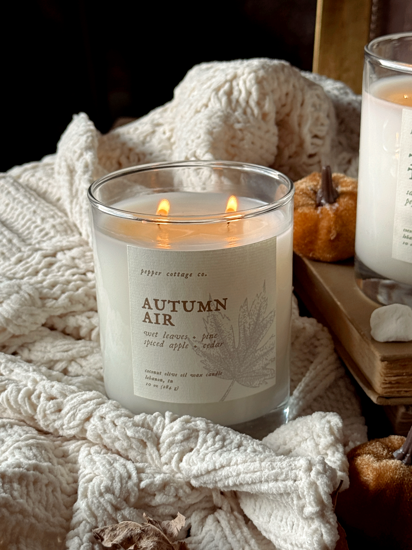 Autumn Air - Wet Leaves, Spiced Apple, Pine, Cedar | 10 oz Coconut Olive Oil Blend Fall Candle