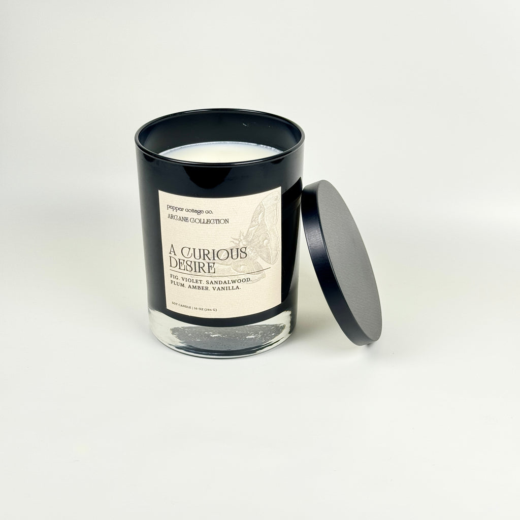 A Curious Desire 10 oz Candle Jar | Fig, Violet, Plum, Sandalwood, Plum, Amber, Vanilla | Dark Academia Soy Candle