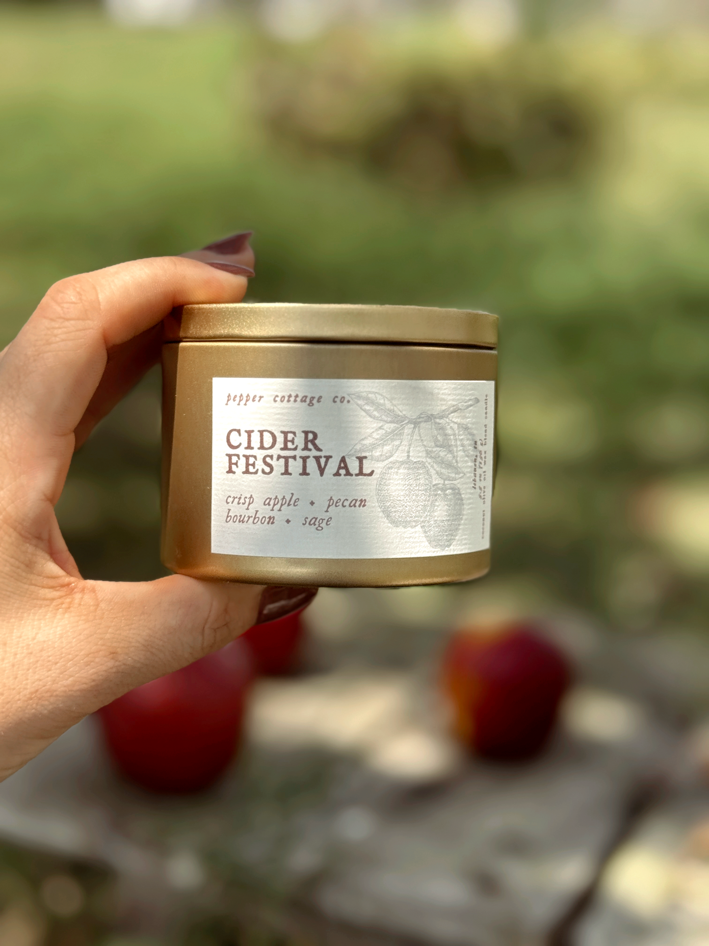 Cider Festival - Crisp Apple, Pecan, Bourbon, Sage | 5.5 oz Coconut Olive Oil Wax Fall Scented Candle