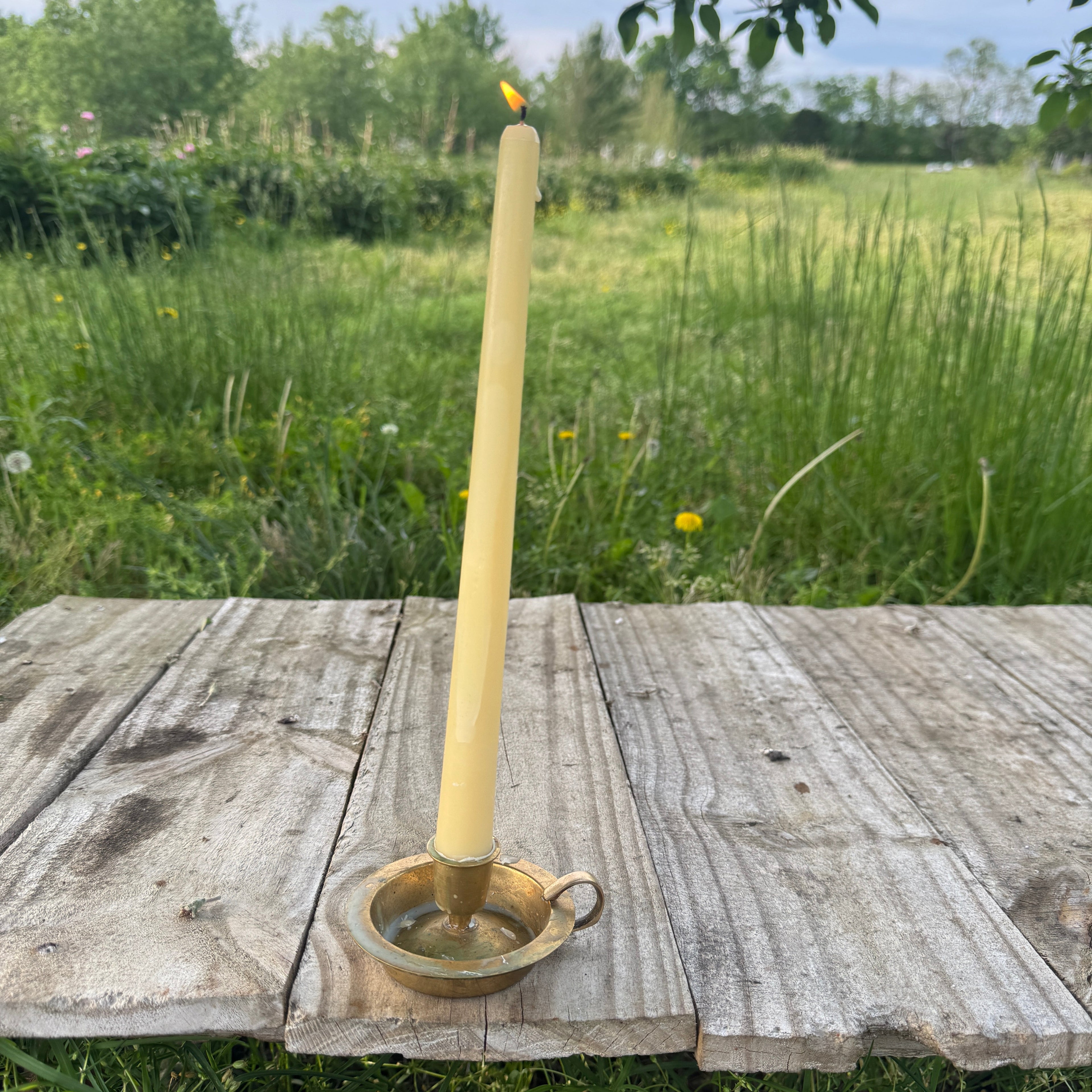 Beeswax Taper Pair | 100% Beeswax + Hemp Wick | 8-10 Hour Burn Time
