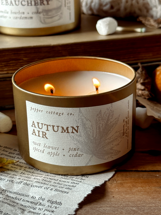 Autumn Air - Wet Leaves, Spiced Apple, Pine, Cedar | 5.5 oz Coconut Olive Oil Blend Fall Candle