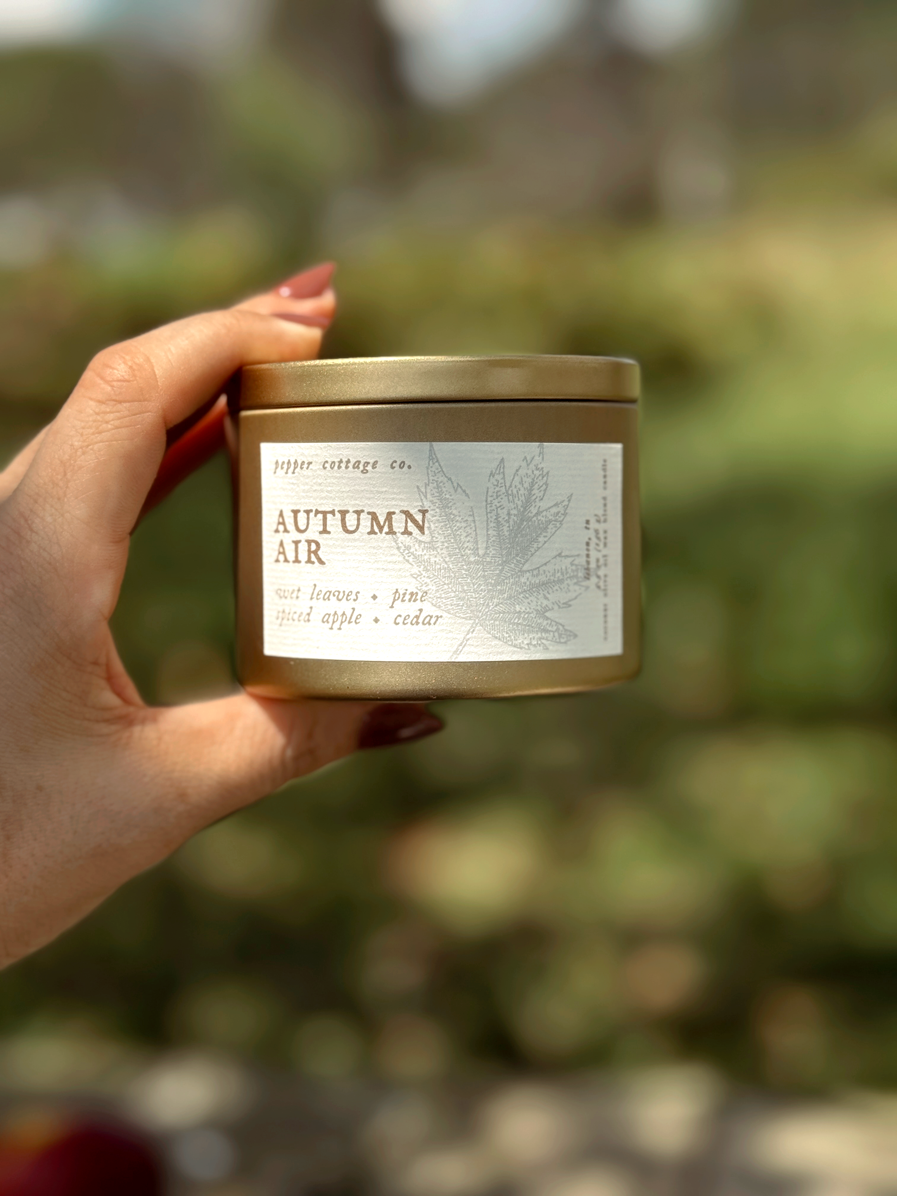 Autumn Air - Wet Leaves, Spiced Apple, Pine, Cedar | 5.5 oz Coconut Olive Oil Blend Fall Candle