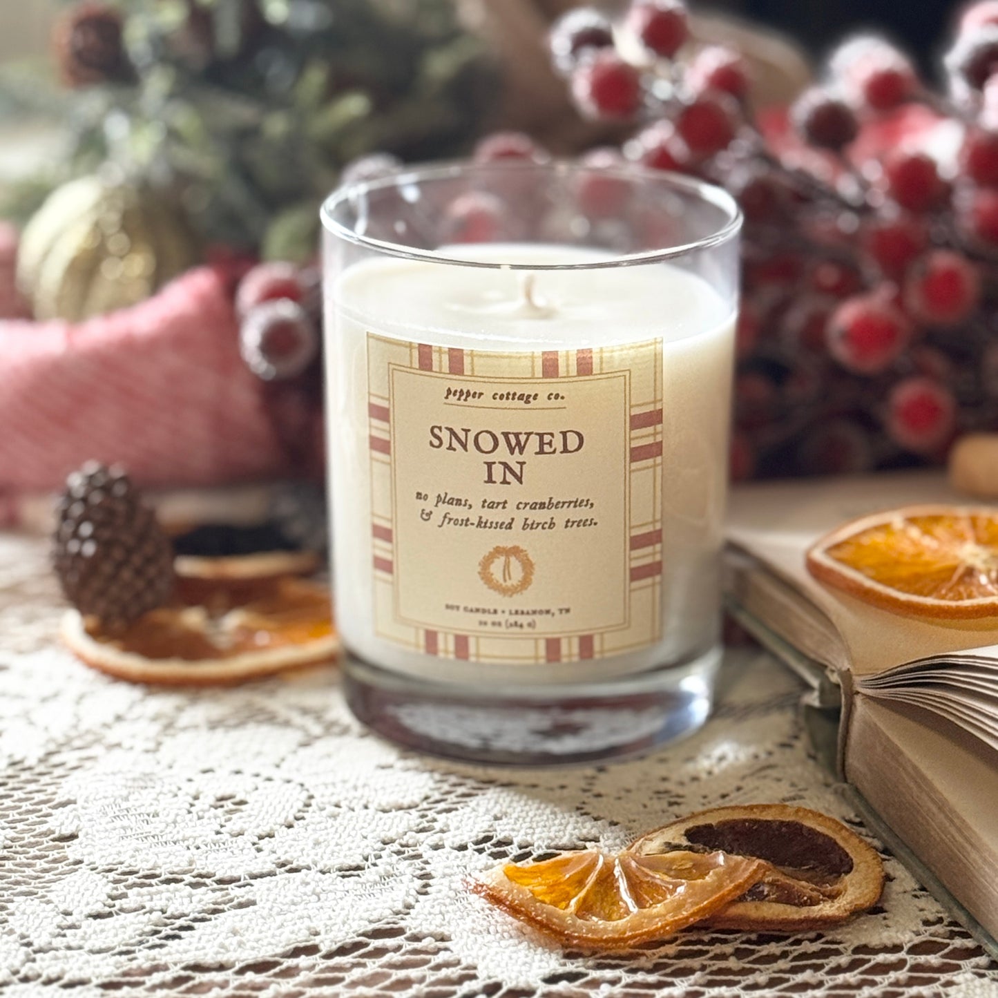 Snowed In 10 oz Soy Candle | Tart Cranberry, White Birch, Cinnamon | Non-toxic Holiday Candle Jar
