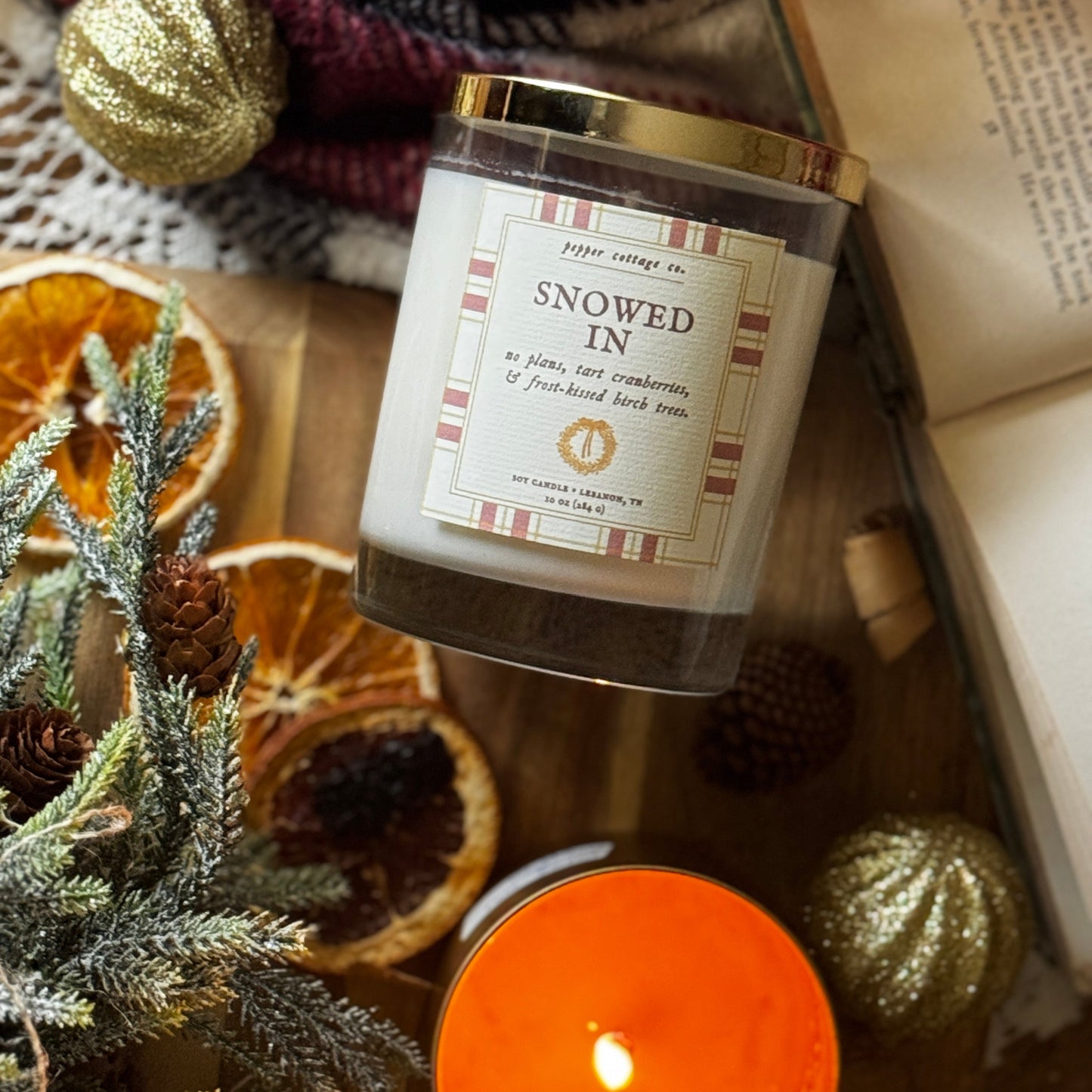 Snowed In 10 oz Soy Candle | Tart Cranberry, White Birch, Cinnamon | Non-toxic Holiday Candle Jar