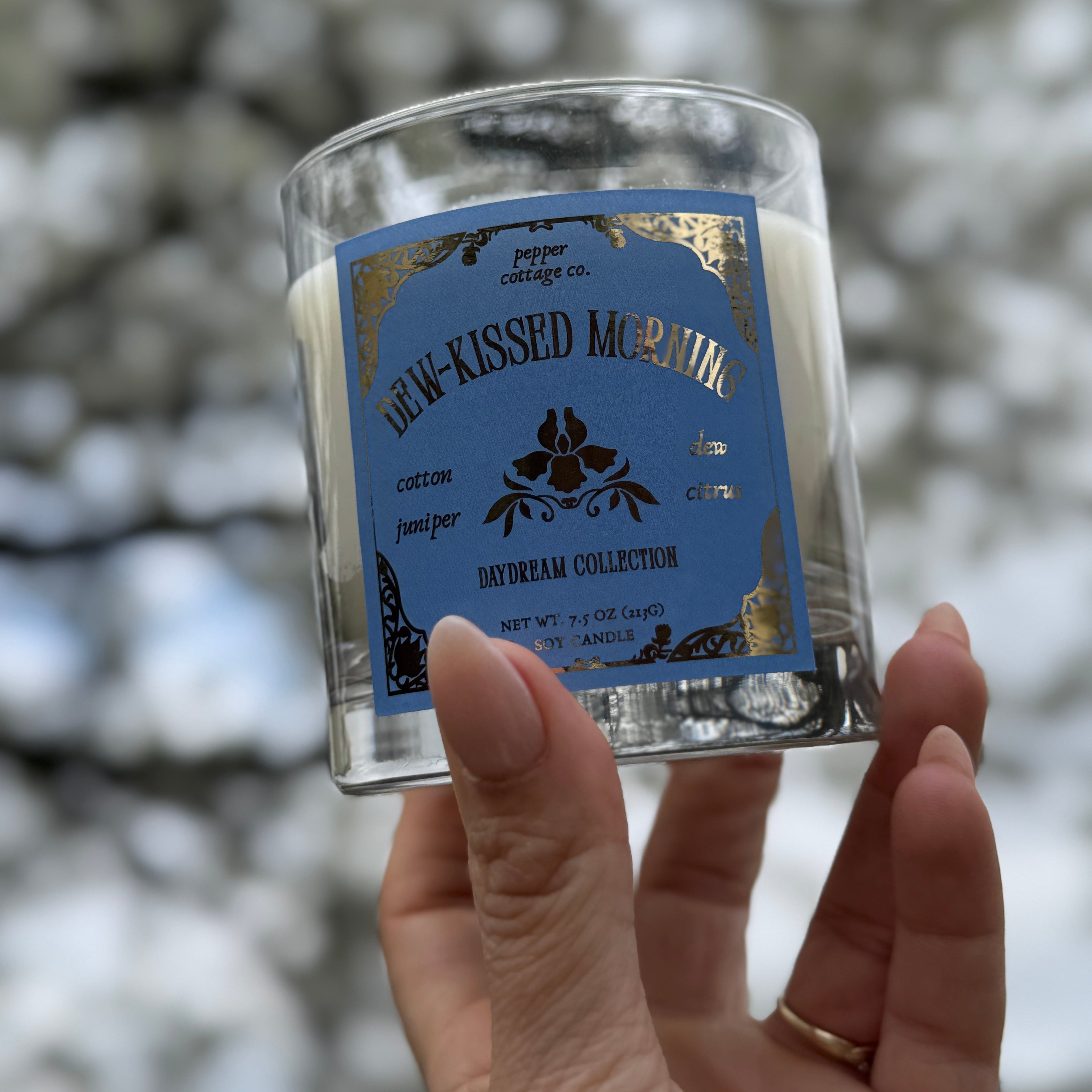 Dew-Kissed Morning 7.5 oz Soy Spring Candle | Cotton, Juniper, Dew, Citrus | Daydream Collection Spring Morning Dew Candle