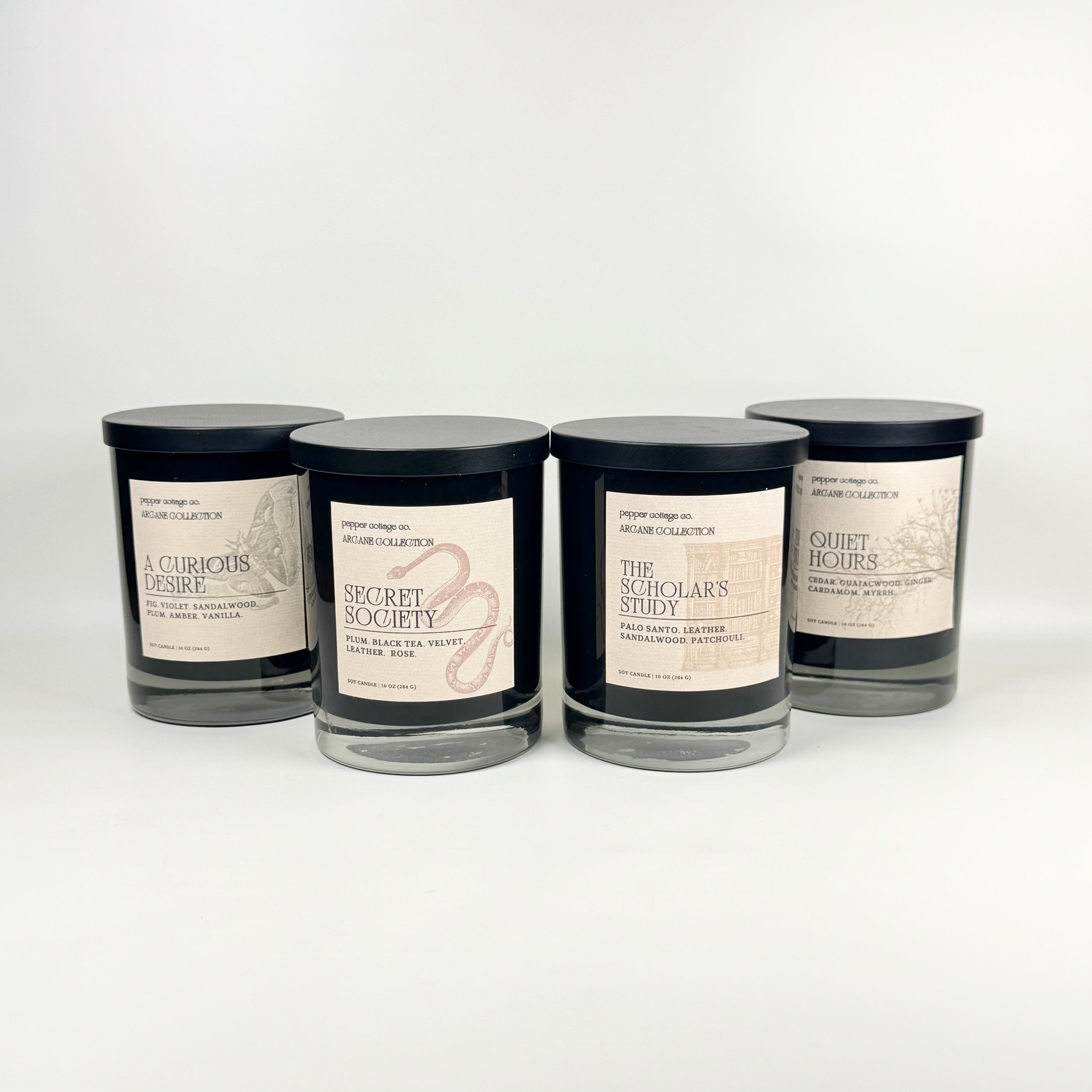 A Curious Desire 10 oz Candle Jar | Fig, Violet, Plum, Sandalwood, Plum, Amber, Vanilla | Dark Academia Soy Candle