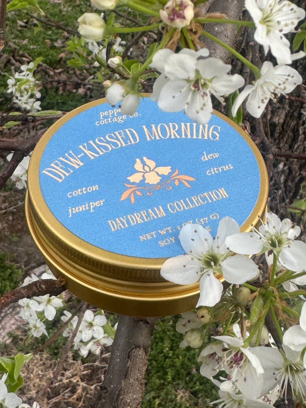 Daydream Discovery Box Set | Sample All 4 Dreamy Spring Scents | 2 oz Soy Candle Tins