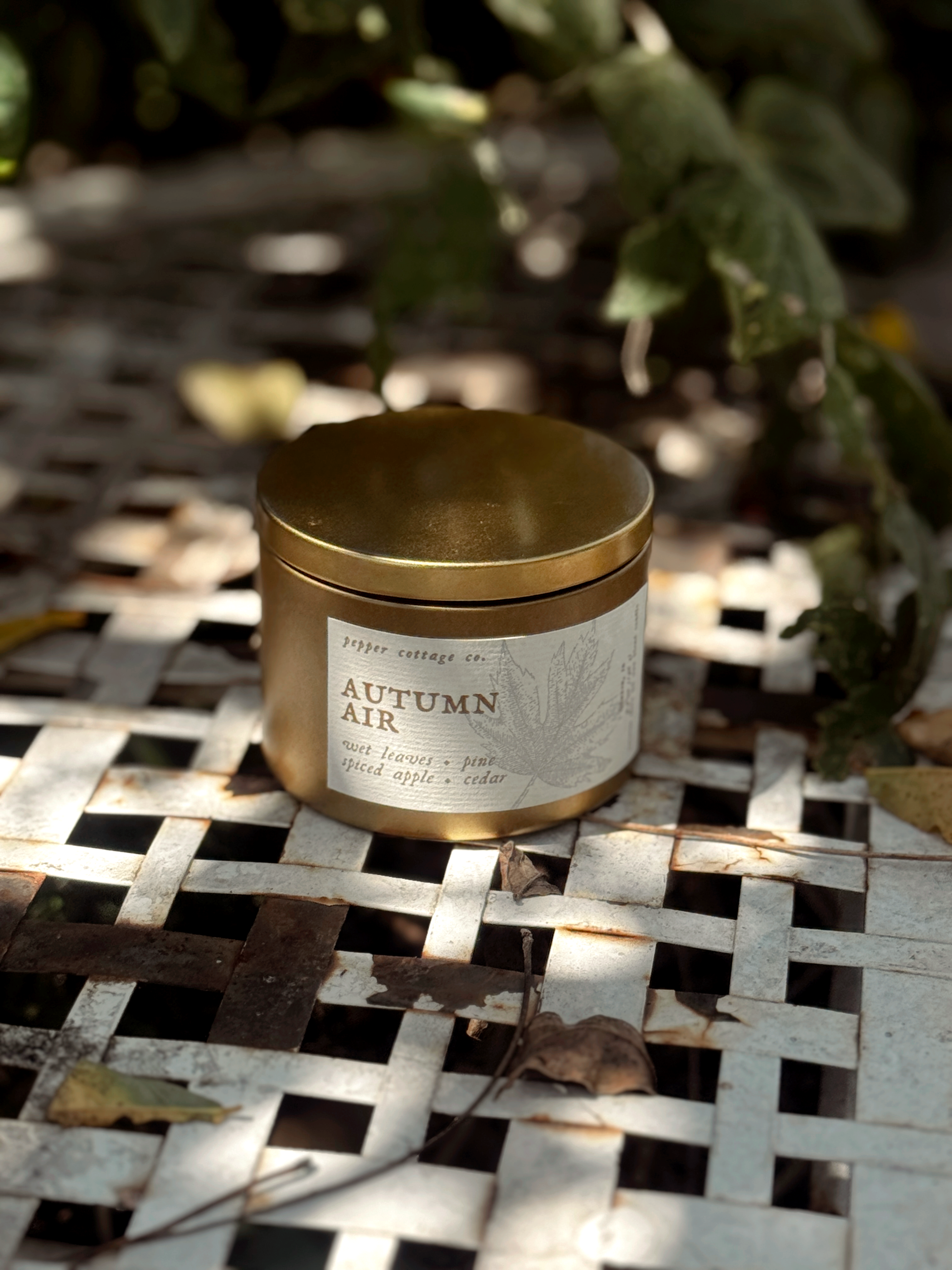Autumn Air - Wet Leaves, Spiced Apple, Pine, Cedar | 5.5 oz Coconut Olive Oil Blend Fall Candle