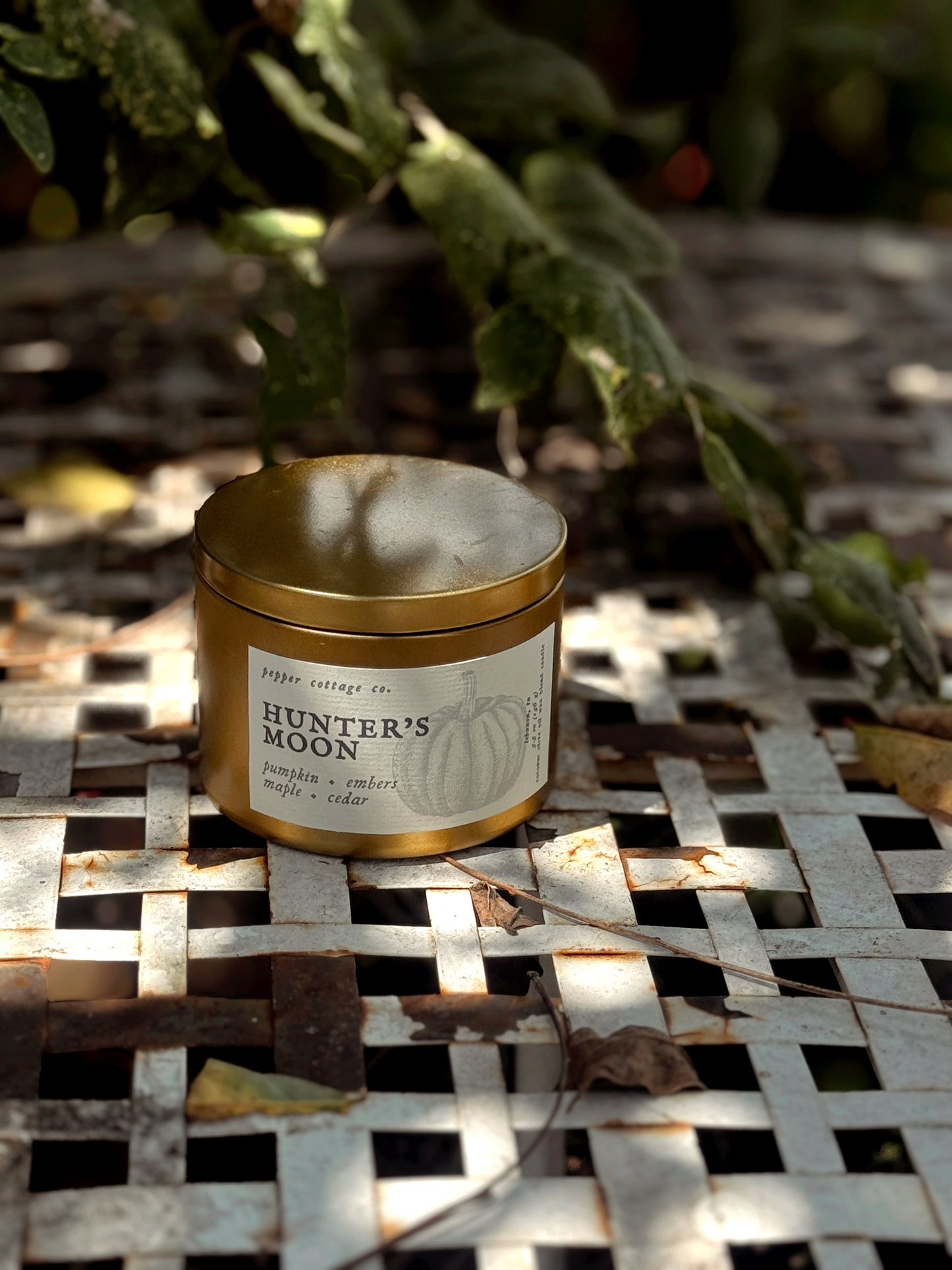 Hunter's Moon - Pumpkin, Embers, Maple, Cedar | 5.5 oz Coconut Olive Oil Wax Fall Scented Candle