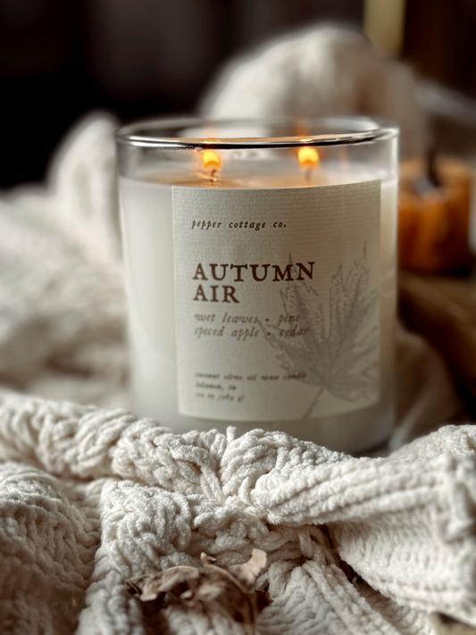 Autumn Air - Wet Leaves, Spiced Apple, Pine, Cedar | 10 oz Coconut Olive Oil Blend Fall Candle