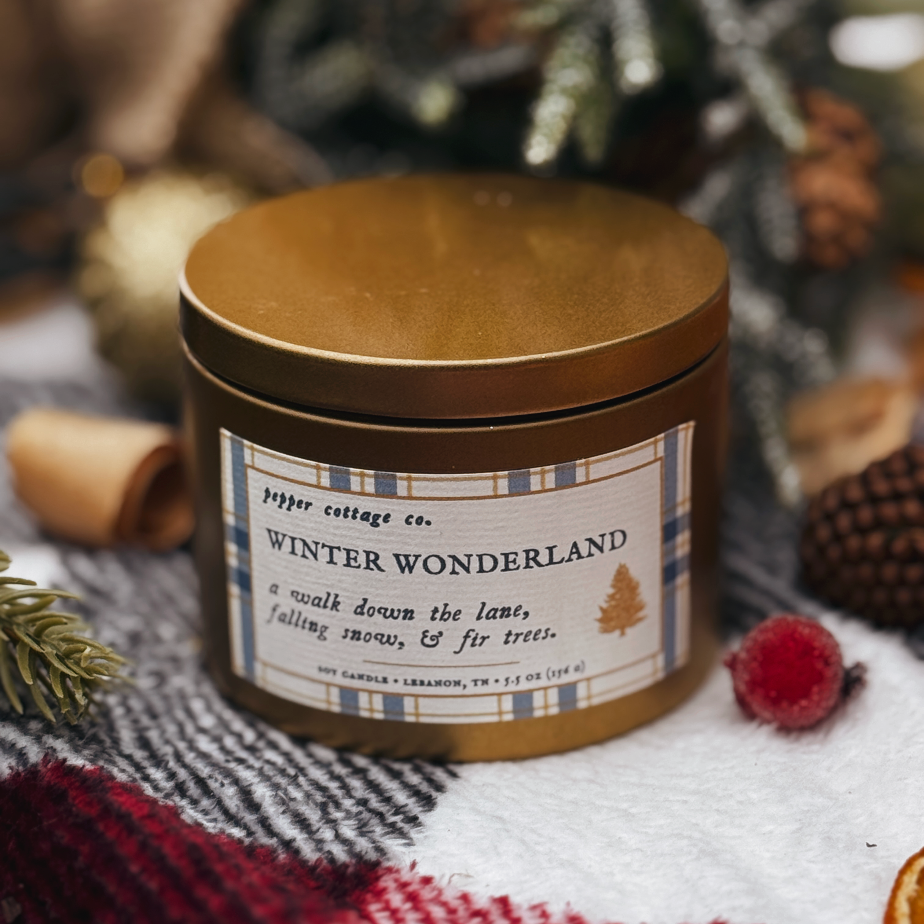 Winter Wonderland 5.5 oz Soy Candle | Fraser Fir, Cypress, Bayberry | Non-toxic Woodsy Scent Holiday Candle Tin