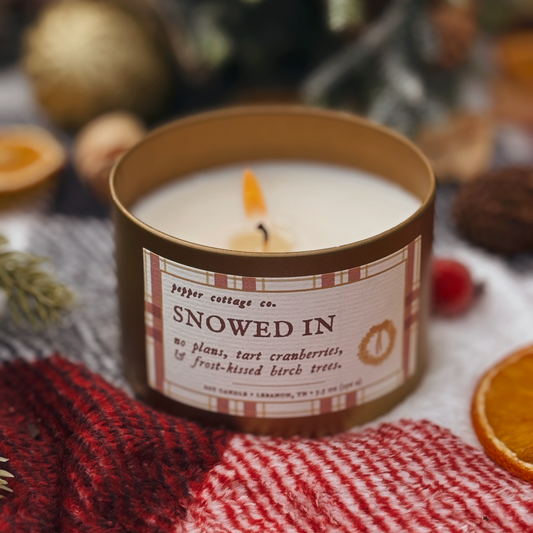 Snowed In 5.5 oz Soy Candle | Cranberry, White Birch, Cinnamon | Non-toxic Holiday Candle Tin