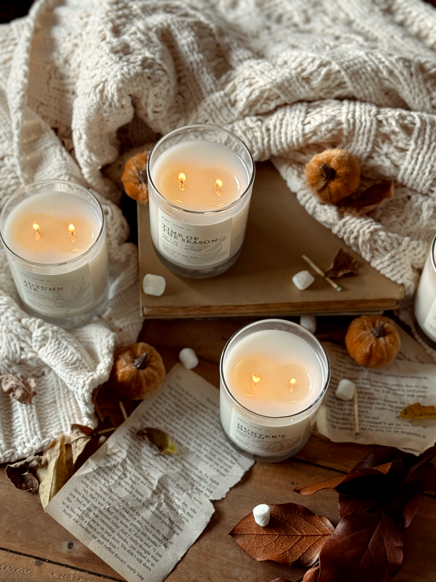 Time of the Season - Fig, Sage, Peppercorn, Moss, Brown Sugar, Patchouli | 10 oz Coconut Olive Oil Blend Fall Candle