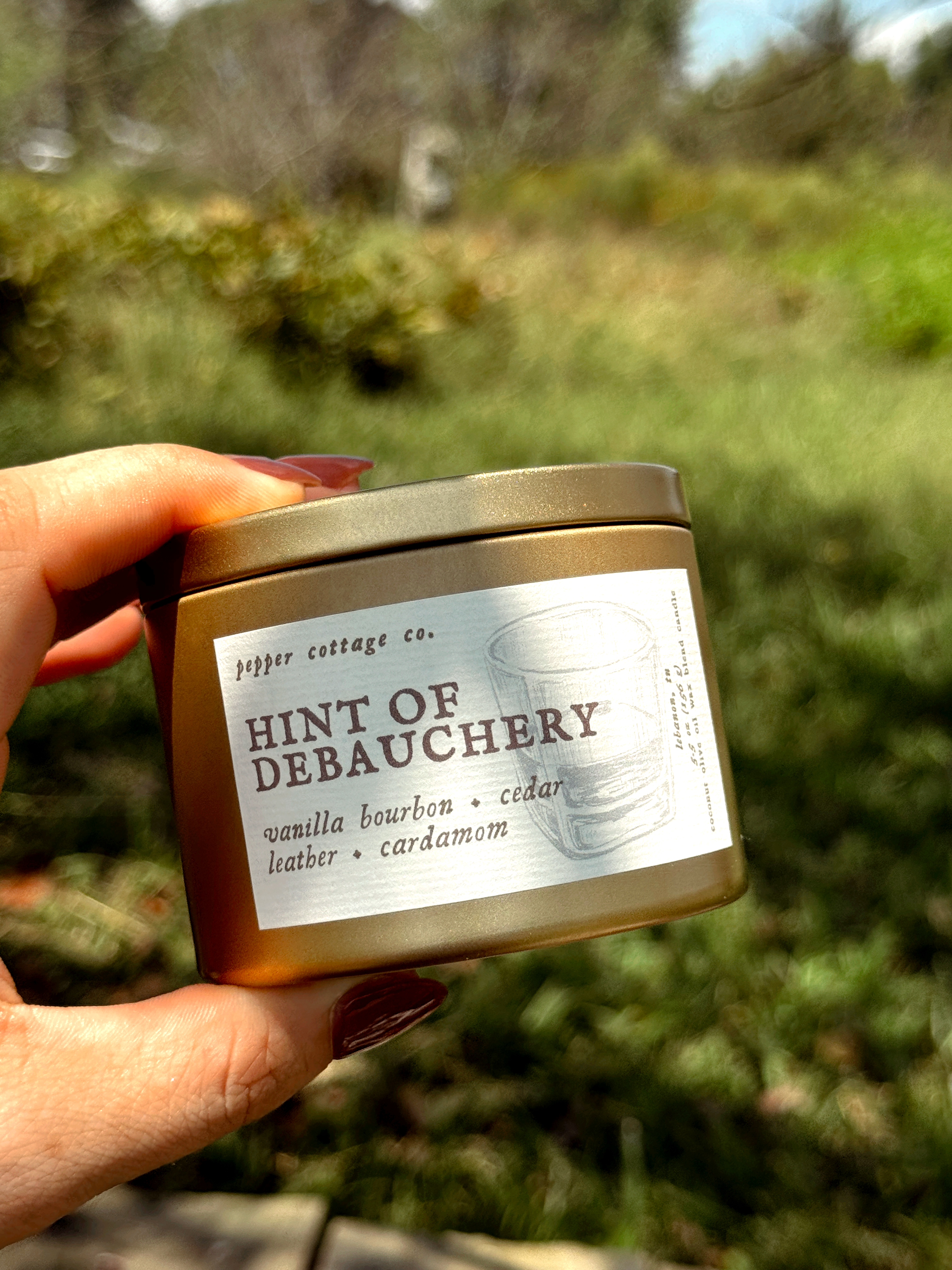 Hint of Debauchery - Vanilla Bourbon, Cedar, Leather, Cardamom | 5.5 oz Coconut Olive Oil Wax Fall Scented Candle