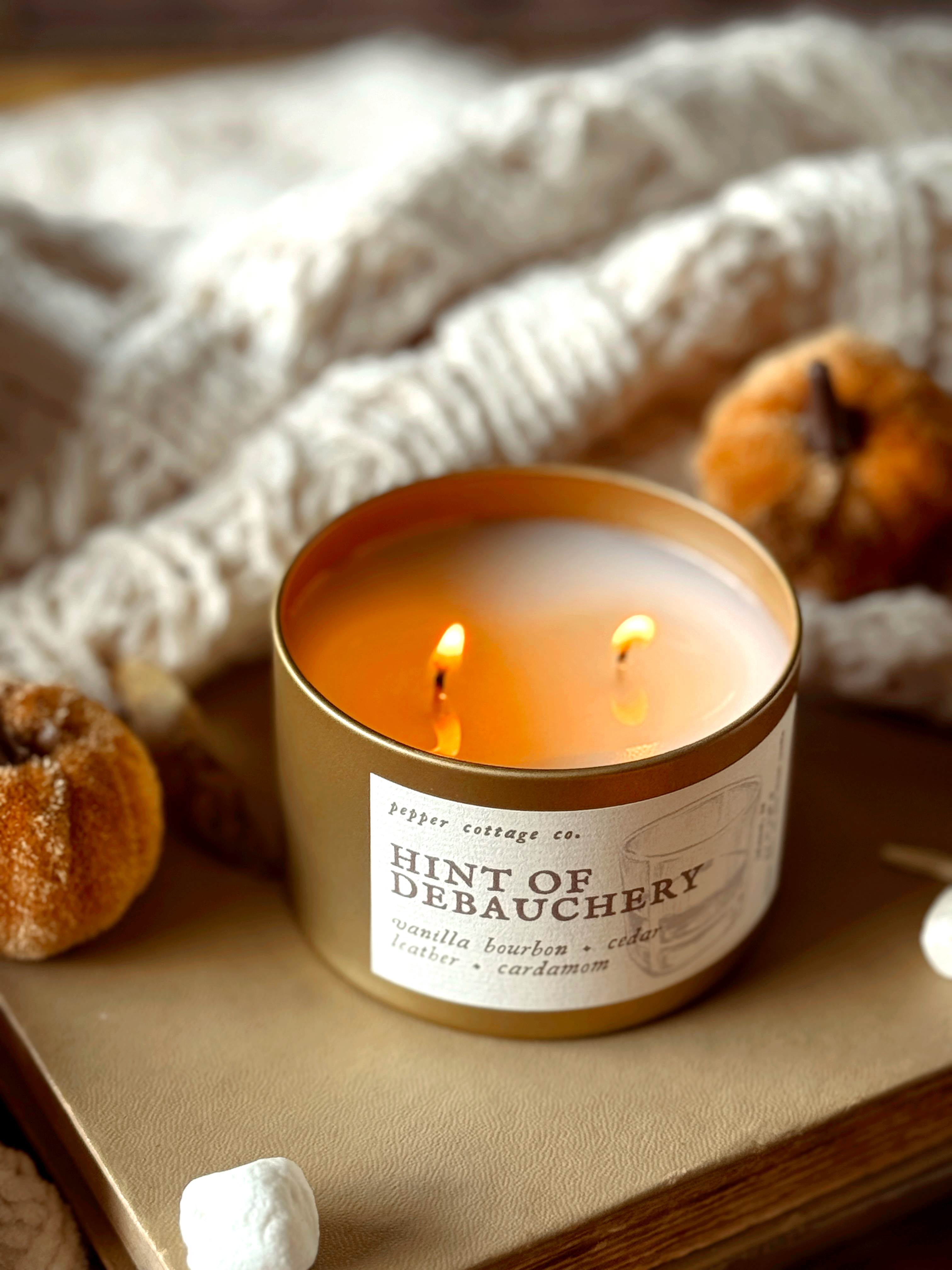 Hint of Debauchery - Vanilla Bourbon, Cedar, Leather, Cardamom | 5.5 oz Coconut Olive Oil Wax Fall Scented Candle