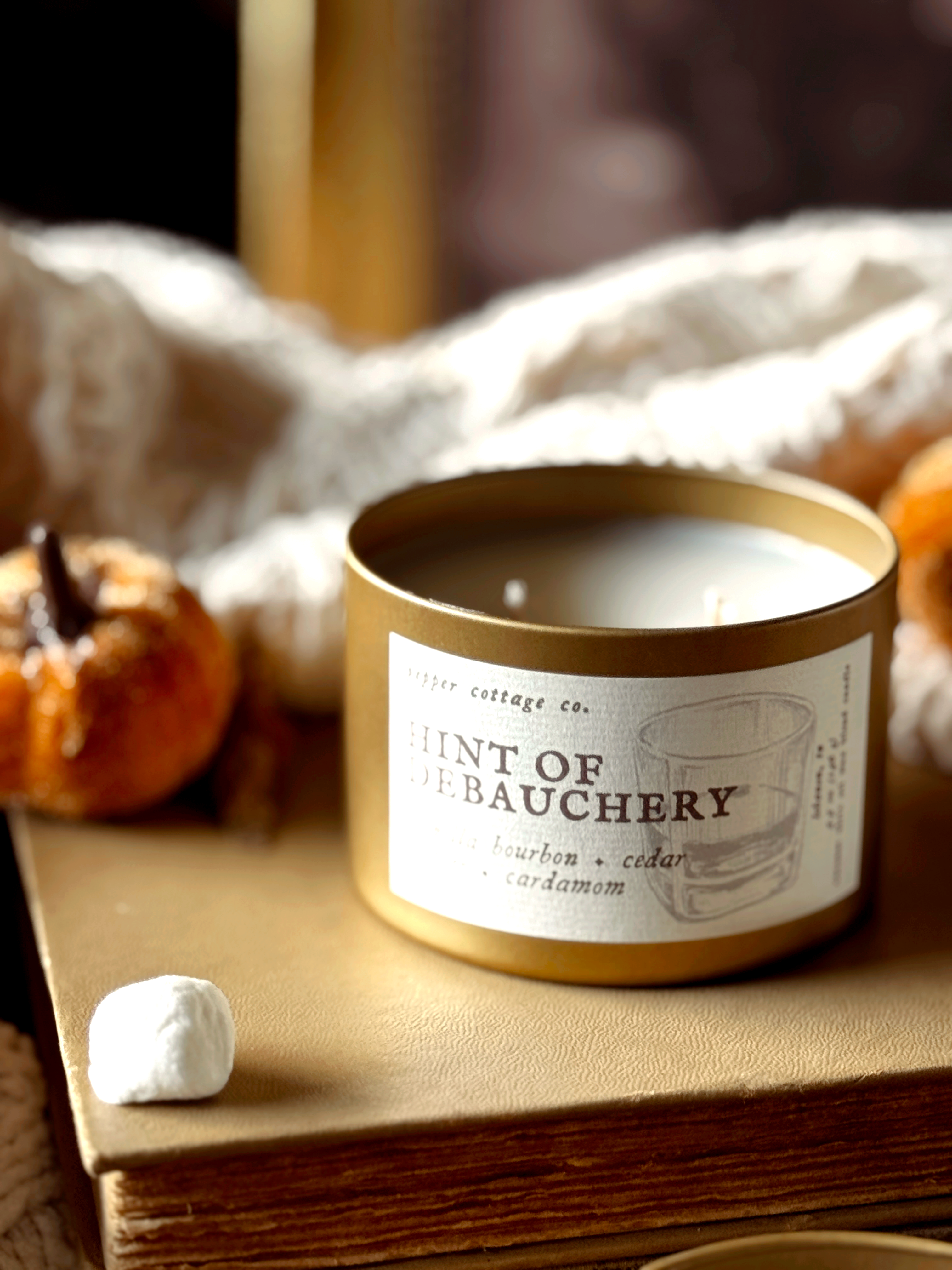 Hint of Debauchery - Vanilla Bourbon, Cedar, Leather, Cardamom | 5.5 oz Coconut Olive Oil Wax Fall Scented Candle