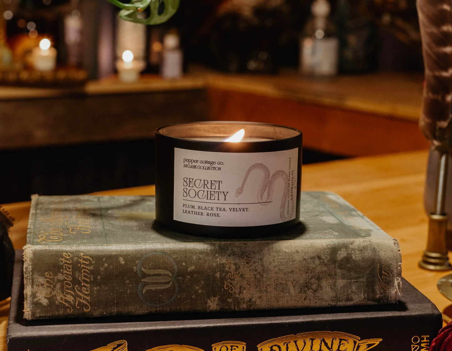 Candle labeled 'Secret Society' on top of a book with a blurred background