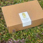 Daydream Discovery Box Set | Sample All 4 Dreamy Spring Scents | 2 oz Soy Candle Tins