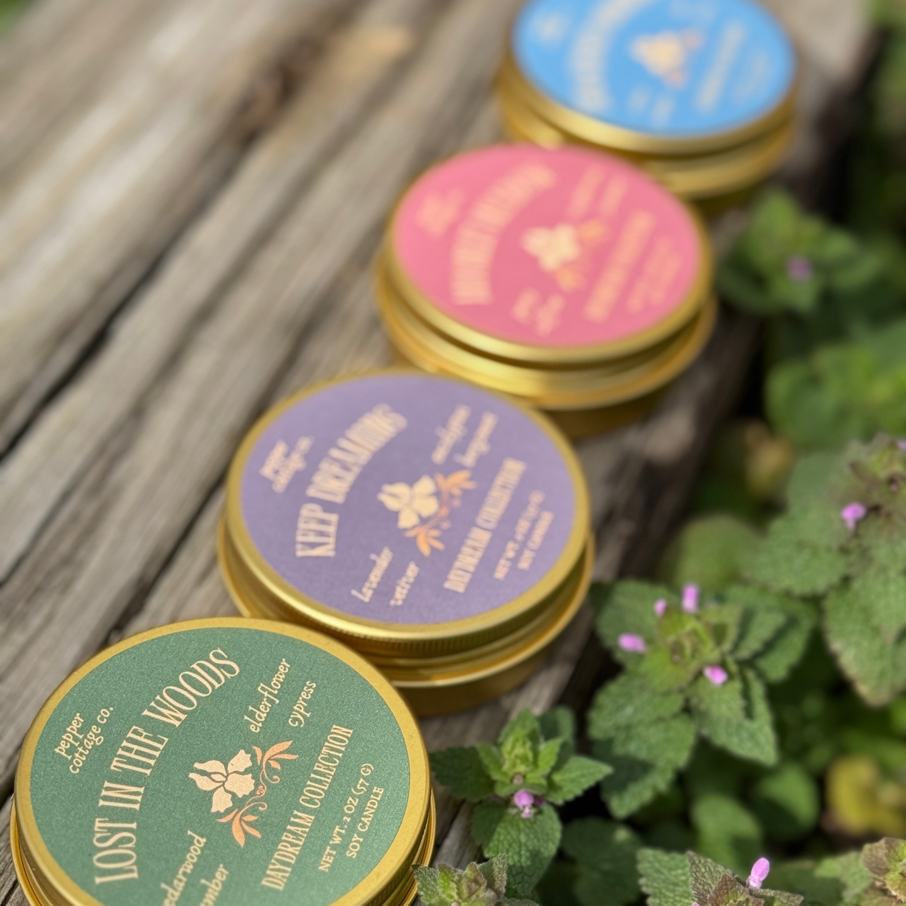 Daydream Discovery Box Set | Sample All 4 Dreamy Spring Scents | 2 oz Soy Candle Tins