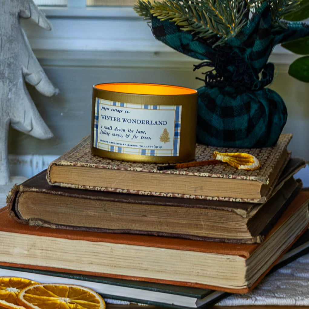 Winter Wonderland 5.5 oz Soy Candle | Fraser Fir, Cypress, Bayberry | Non-toxic Woodsy Scent Holiday Candle Tin